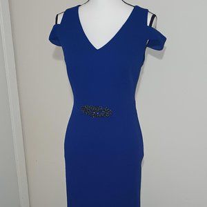 NWT Alex Evening Cocktail Dress (8/10)
